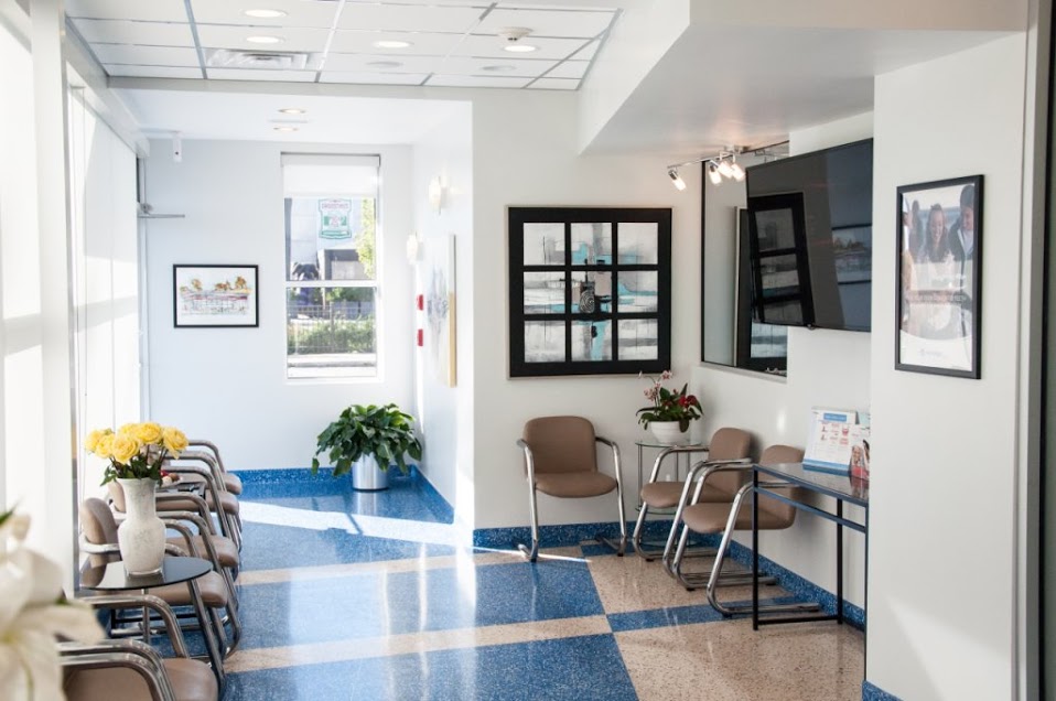 Loukas Dentistry professional care team in Park Ridge IL