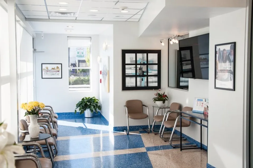 Loukas Dentistry Office in Park Ridge